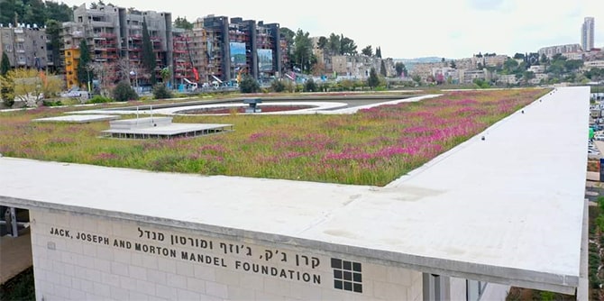 The Mandel Foundation's Living Roof
