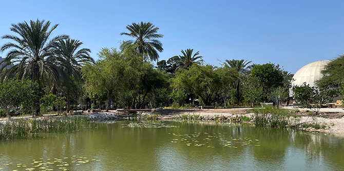 A pond, palm trees, and planetarium dome